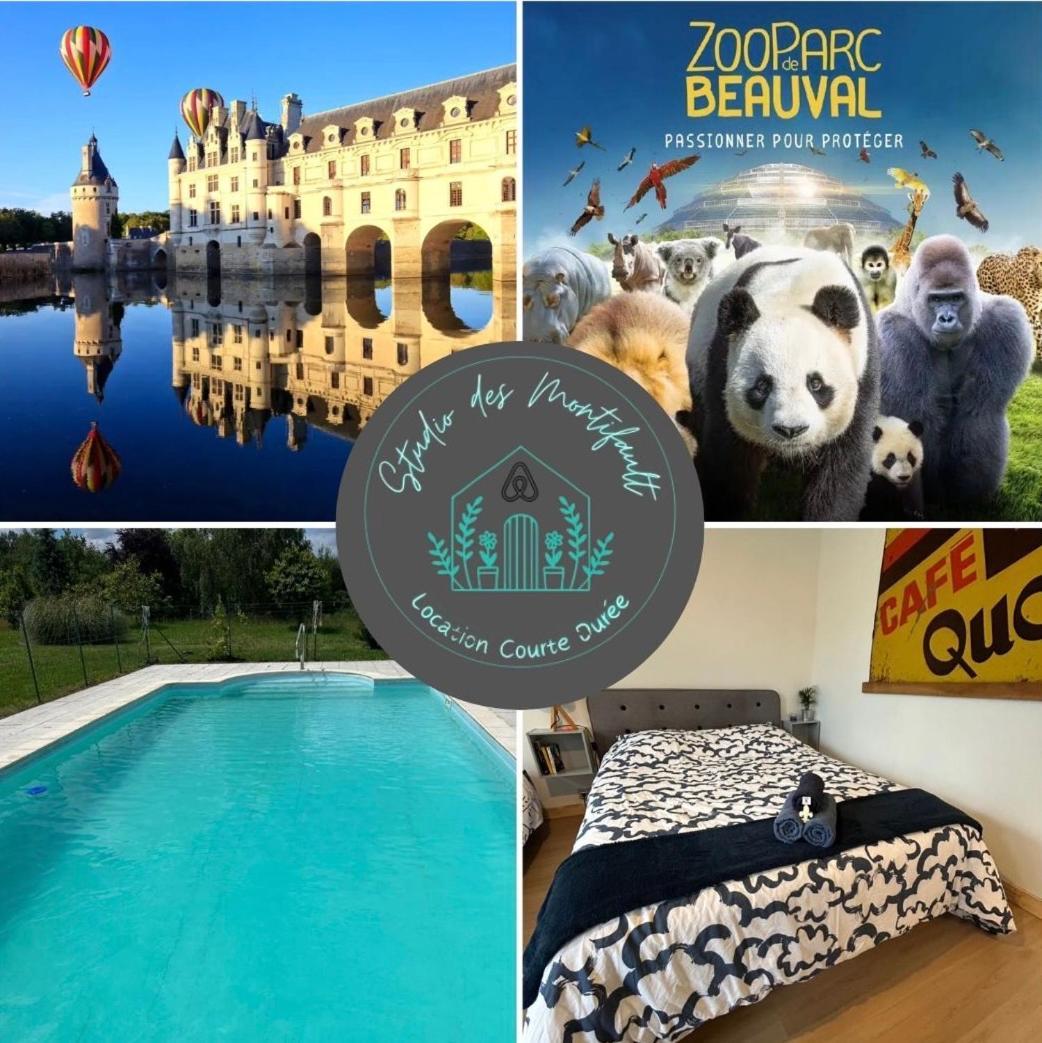 Studio Proche Beauval Et Chateaux De La Loire Francueil Екстериор снимка